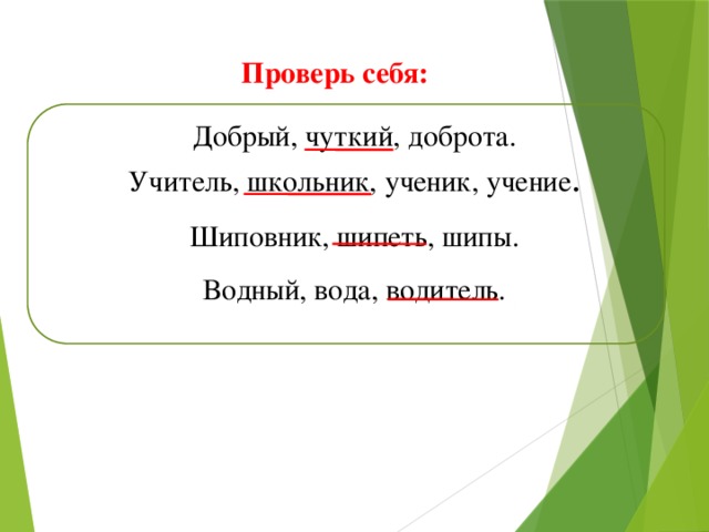 Проверь себя: Добрый, чуткий, доброта. Учитель, школьник, ученик, учение . Шиповник, шипеть, шипы. Водный, вода, водитель.