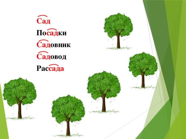 Сад По сад ки  Сад овник  Сад овод Рас сада