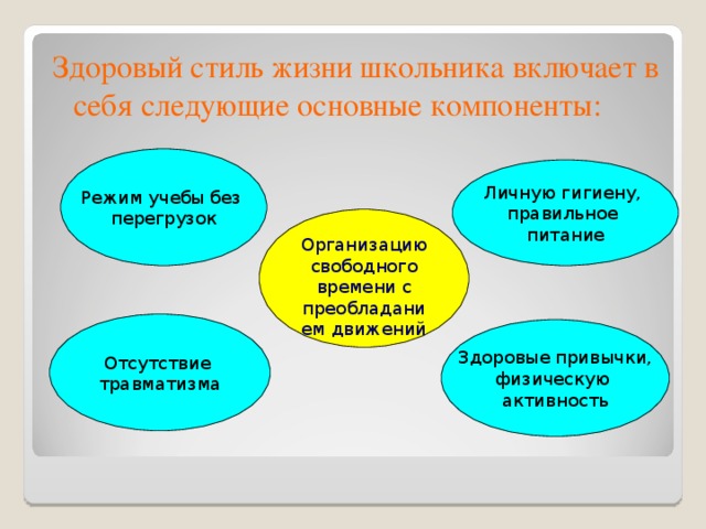 Здоровый стиль жизни школьника включает в себя следующие основные компоненты: Режим учебы без перегрузок Личную гигиену, правильное питание Организацию свободного времени с преобладанием движений Отсутствие травматизма Здоровые привычки, физическую активность