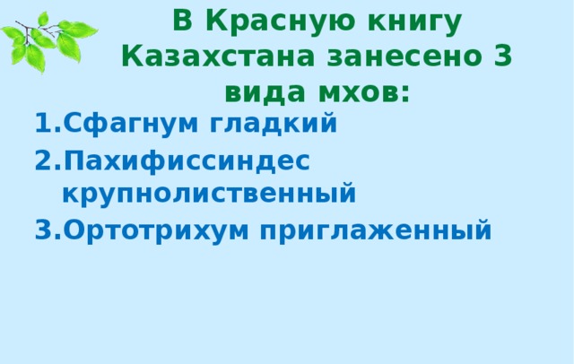 В Красную книгу Казахстана занесено 3 вида мхов:
