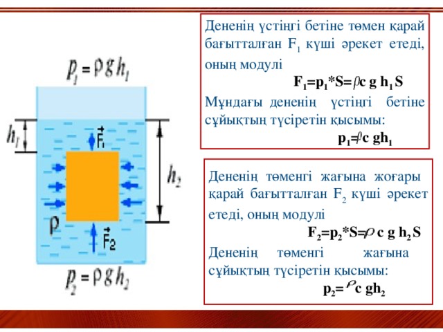 Дененің үстіңгі бетіне төмен қарай бағытталған F 1 күші әрекет етеді, оның модулі   F 1 =p 1 *S=  c g h 1 S Мұндағы дененің үстіңгі бетіне сұйықтың түсіретін қысымы:  p 1 = c gh 1  Дененің төменгі жағына жоғары қарай бағытталған F 2 күші әрекет етеді, оның модулі  F 2 =p 2 *S=  c g h 2 S Дененің төменгі жағына сұйықтың түсіретін қысымы:  p 2 = c gh 2