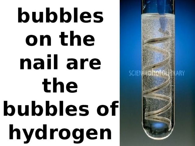 The bubbles on the nail are the bubbles of hydrogen gas.
