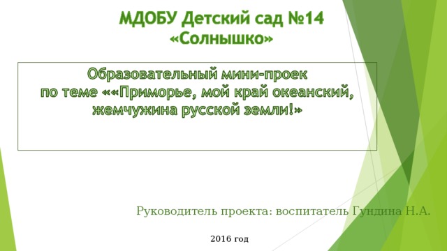 Руководитель проекта: воспитатель Гундина Н.А.  2016 год