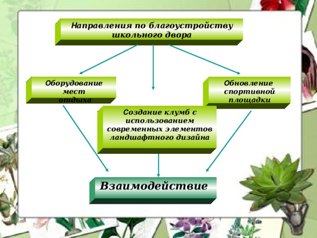 Н аправления по благоустройству школьного двора  О борудование мест О бновление спортивной площадки  отдыха С оздание клумб с использованием современных элементов ландшафтного дизайна Взаимодействие