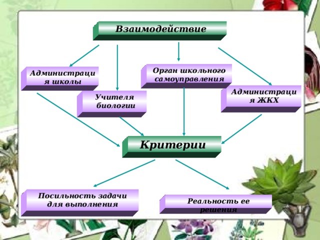 Учителя  биологии Администрация школы Взаимодействие Орган школьного самоуправления Администрация ЖКХ Критерии  Посильность задачи для выполнения Реальность ее решения  Администрация школы￼