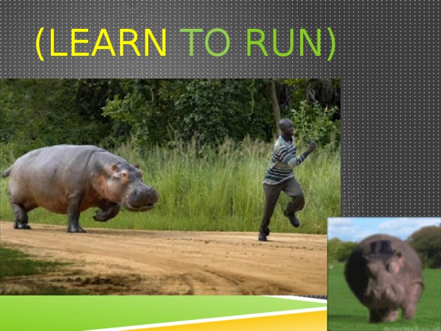 (learn to  run)