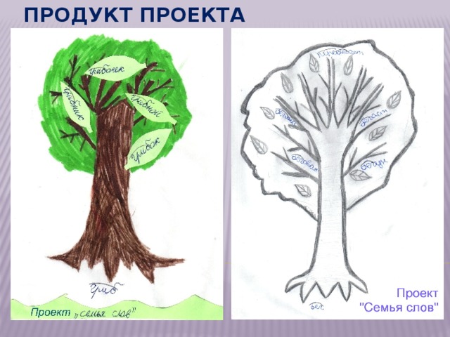 Проект семья слов класс. Проект семья слов. Проект семья слов по русскому языку 3 класс. Семья слов проект по русскому языку 3. Проект семья слов 3 класс русский.