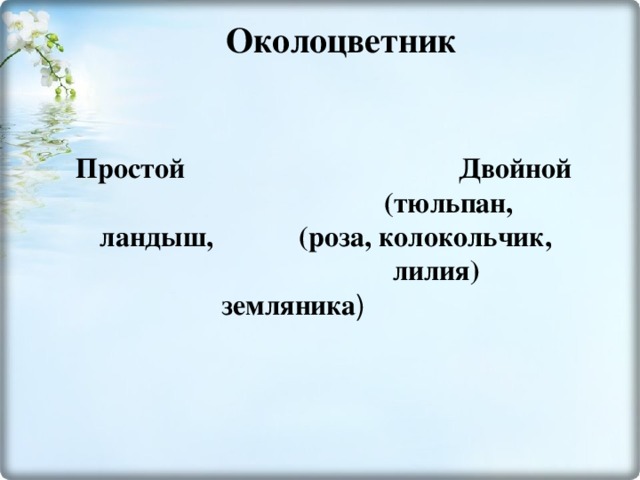 Околоцветник   Простой  Двойной  (тюльпан, ландыш, (роза, колокольчик, лилия) земляника )