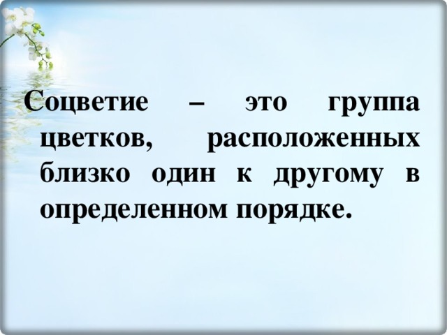 Соцветие – это группа цветков, расположенных близко один к другому в определенном порядке.