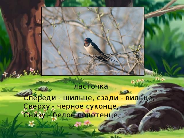 ласточка Спереди - шильце, сзади - вильце,  Сверху - черное суконце,  Снизу - белое полотенце.