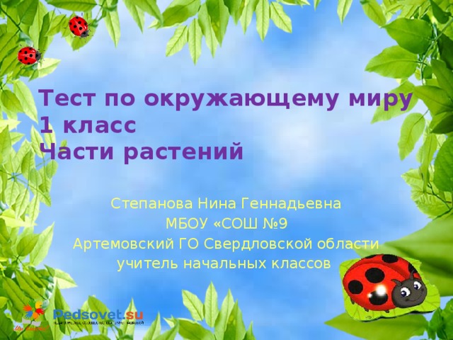 Тест по окружающему миру  1 класс  Части растений Степанова Нина Геннадьевна МБОУ «СОШ №9 Артемовский ГО Свердловской области учитель начальных классов