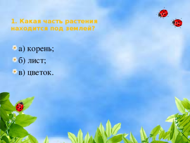 1. Какая часть растения  находится под землей?