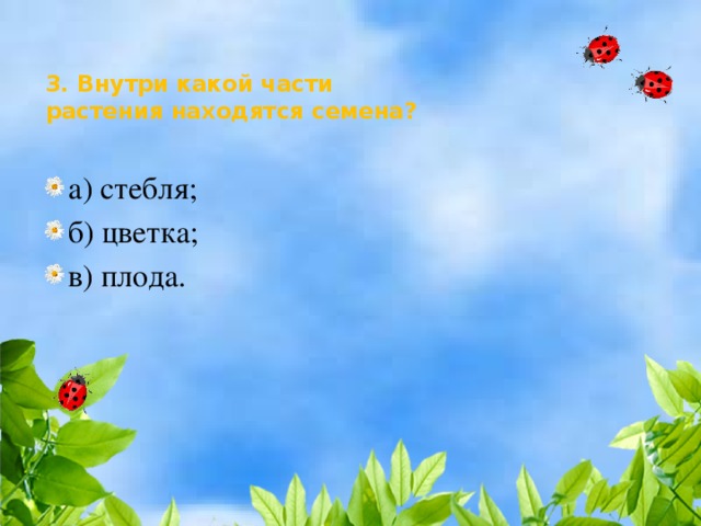 3. Внутри какой части  растения находятся семена?