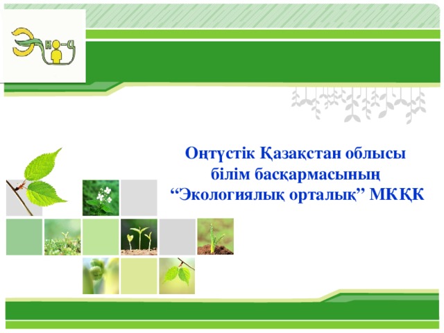 Оңтүстік Қазақстан облысы  білім басқармасының  “Экологиялық орталық” МКҚК