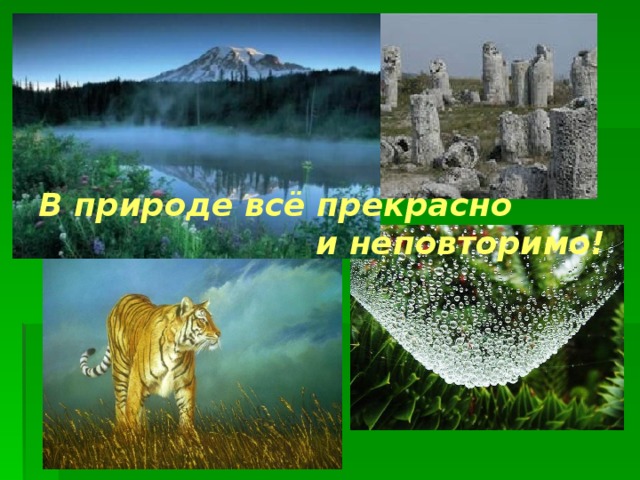 В природе всё прекрасно  и неповторимо!