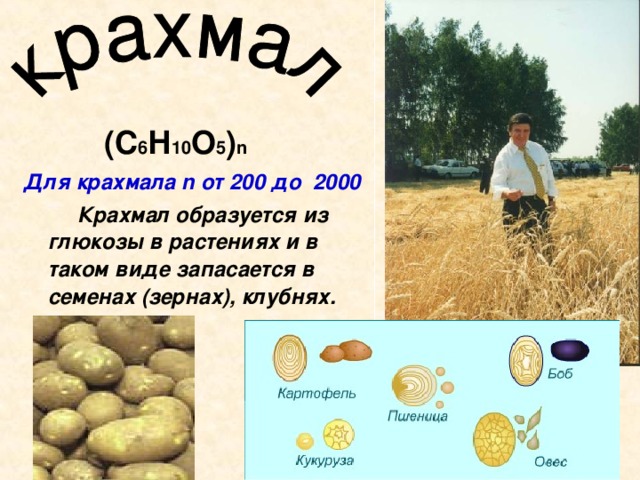 (С 6 Н 10 О 5 ) n Для крахмала n от 200 до 2000   Крахмал образуется из глюкозы в растениях и в таком виде запасается в семенах (зернах), клубнях.