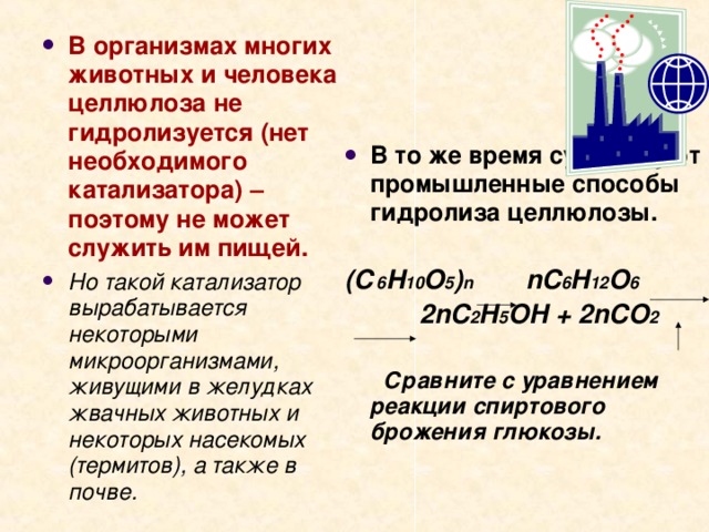 В организмах многих животных и человека целлюлоза не гидролизуется (нет необходимого катализатора) – поэтому не может служить им пищей. Но такой катализатор вырабатывается некоторыми микроорганизмами, живущими в желудках жвачных животных и некоторых насекомых (термитов), а также в почве.    В то же время существуют промышленные способы гидролиза целлюлозы.