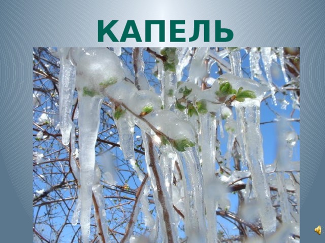 КАПЕЛЬ