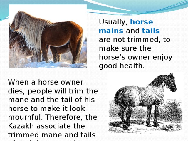 Usually, horse mains and tails  are not trimmed, to make sure the horse’s owner enjoy good health. When a horse owner dies, people will trim the mane and the tail of his horse to make it look mournful. Therefore, the Kazakh associate the trimmed mane and tails of their horses with mourning and death.
