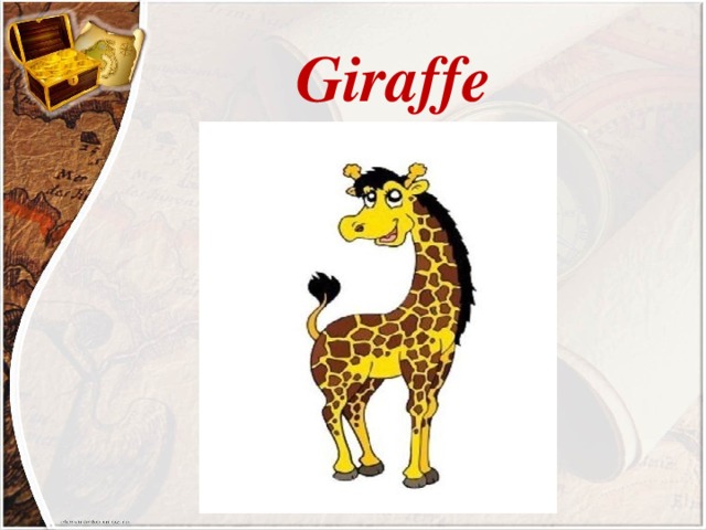   Giraffe