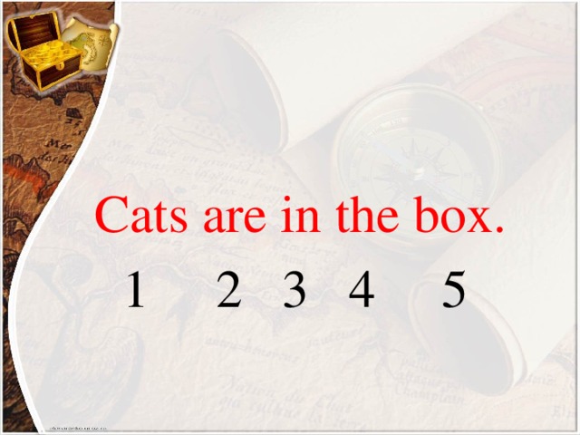 Cats are in the box.  1 2 3 4 5
