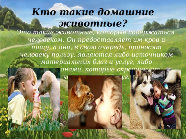 Кто такие домашние животные?  Это такие животные, которые содержаться человеком. Он предоставляет им кров и пищу, а они, в свою очередь, приносят человеку пользу, являются либо источником материальных благ и услуг, либо компаньонами, которые скрашивают человеческий досуг.