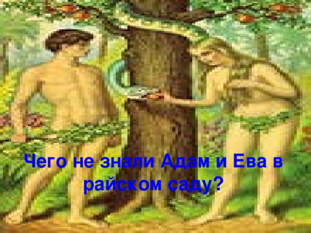 Чего не знали Адам и Ева в райском саду?