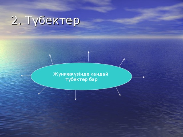 2. Түбектер Жүниежүзінде қандай түбектер бар