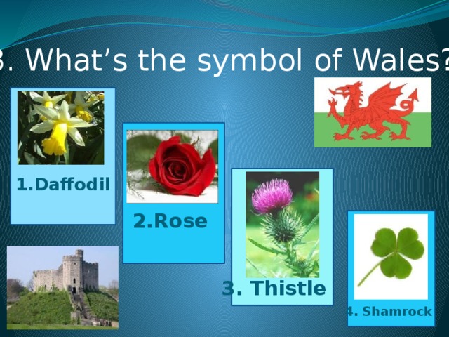 3. What’s the symbol of Wales? 1.Daffodil 2.Rose 3. Thistle 4. Shamrock