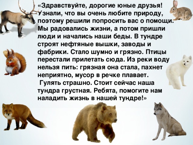 «Здравствуйте, дорогие юные друзья! Узнали, что вы очень любите природу, поэтому решили попросить вас о помощи. Мы радовались жизни, а потом пришли люди и начались наши беды. В тундре строят нефтяные вышки, заводы и фабрики. Стало шумно и грязно. Птицы перестали прилетать сюда. Из реки воду нельзя пить: грязная она стала, пахнет неприятно, мусор в речке плавает.  Гулять страшно. Стоит сейчас наша тундра грустная. Ребята, помогите нам наладить жизнь в нашей тундре!»