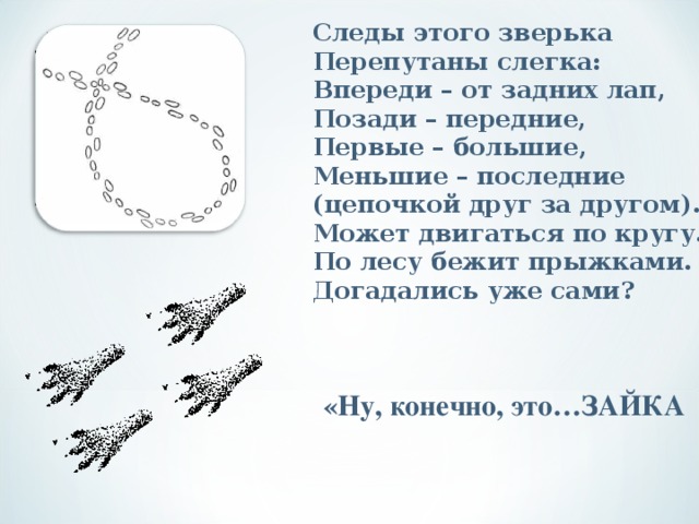 Следы этого зверька Перепутаны слегка: Впереди – от задних лап, Позади – передние, Первые – большие, Меньшие – последние (цепочкой друг за другом). Может двигаться по кругу. По лесу бежит прыжками. Догадались уже сами? «Ну, конечно, это…ЗАЙКА