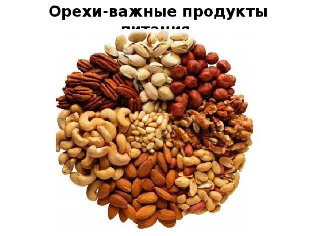 Орехи-важные продукты питания.