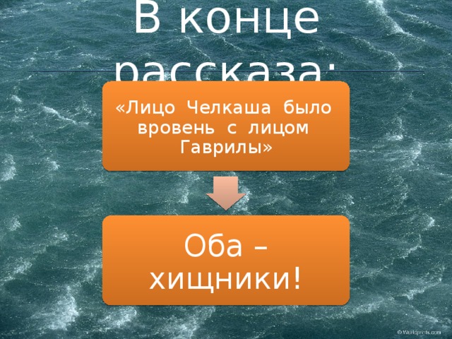 В конце рассказа: «Лицо Челкаша было вровень с лицом Гаврилы» Оба – хищники!