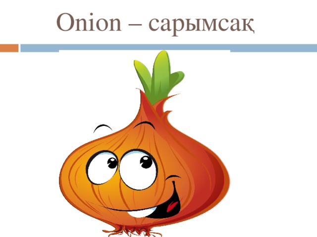 Onion – сарымсақ