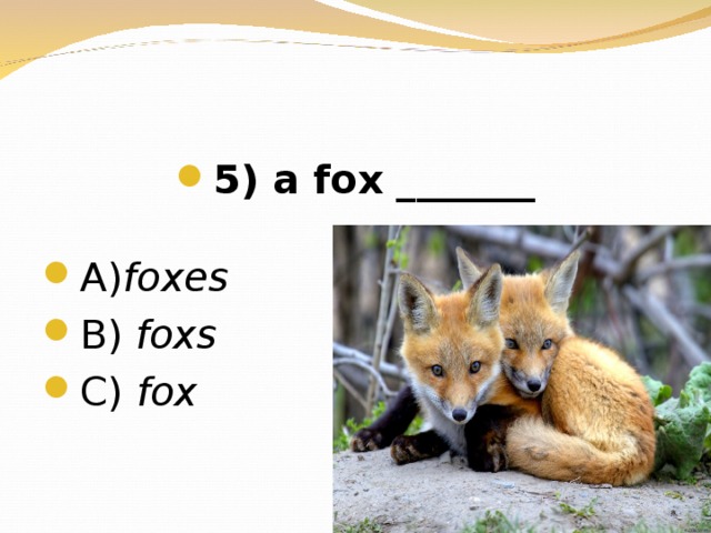 5) a fox _______  А) foxes В) foxs  C) fox