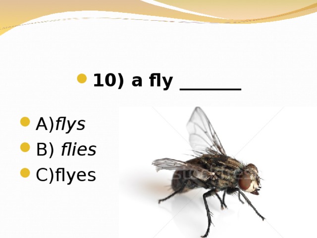 10 ) a fly _______  А) flys В) flies  C)flyes