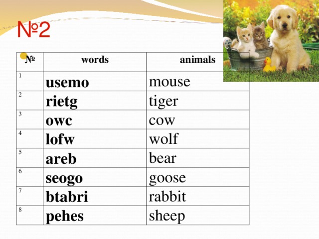 № 2   № words 1 animals usemo 2 rietg 3 mouse 4 owc tiger lofw 5 cow 6 areb wolf seogo bear 7 goose btabri 8 pehes rabbit sheep