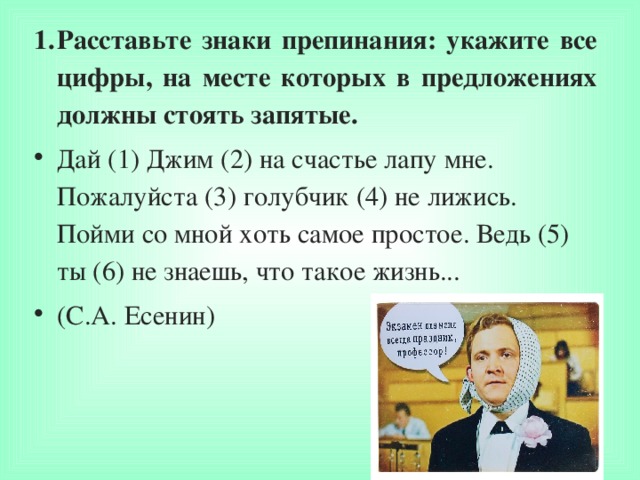 Расставьте знаки препинания: укажите все цифры, на месте которых в предложениях должны стоять запятые. Дай (1) Джим (2) на счастье лапу мне. Пожалуйста (3) голубчик (4) не лижись. Пойми со мной хоть самое простое. Ведь (5) ты (6) не знаешь, что такое жизнь... (С.А. Есенин)