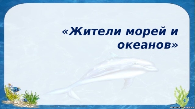 Океаны дошкольникам презентация. Папка передвижка обитатели морей и океанов. Презентация «жители моря и океана». Жители морей и океанов для папки передвижки. Папка передвижка по теме животные рек и океанов для дошкольников.