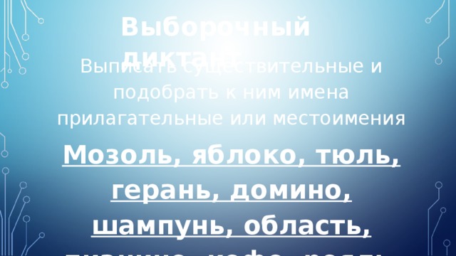 Выборочный диктант Выписать существительные и подобрать к ним имена прилагательные или местоимения Мозоль, яблоко, тюль, герань, домино, шампунь, область, пианино, кофе, рояль .