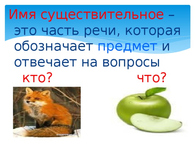 Имя существительное – это часть речи, которая обозначает предмет и отвечает на вопросы кто? что?