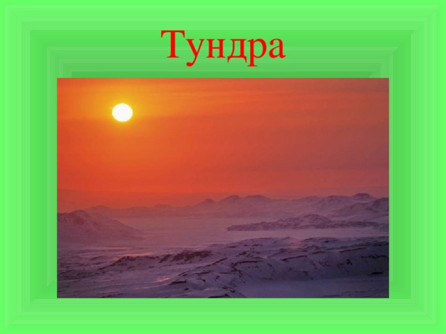 Тундра