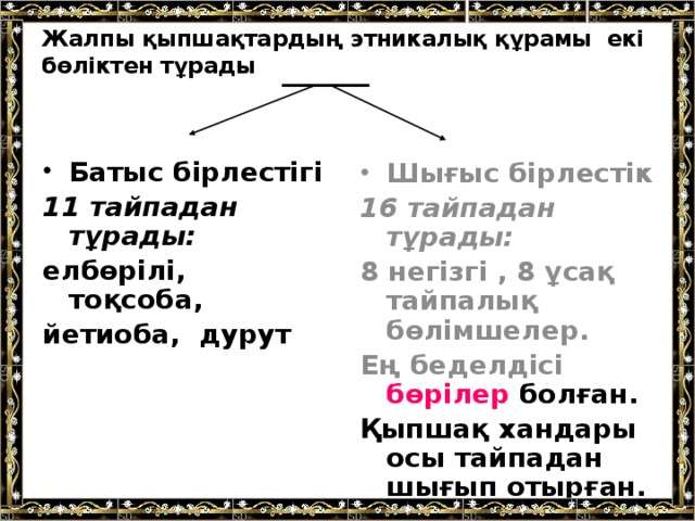 Жалпы қыпшақтардың этникалық құрамы екі бөліктен тұрады   Батыс бірлестігі  11 тайпадан тұрады: елбөрілі, тоқсоба, йетиоба, дурут  Шығыс бірлестік 16 тайпадан тұрады: 8 негізгі , 8 ұсақ тайпалық бөлімшелер. Ең беделдісі бөрілер болған. Қыпшақ хандары осы тайпадан шығып отырған.