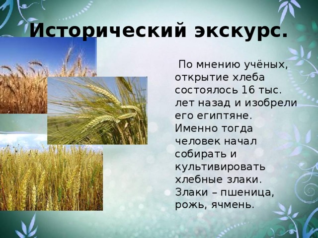 Исторический экскурс.  По мнению учёных, открытие хлеба состоялось 16 тыс. лет назад и изобрели его египтяне. Именно тогда человек начал собирать и культивировать хлебные злаки. Злаки – пшеница, рожь, ячмень.
