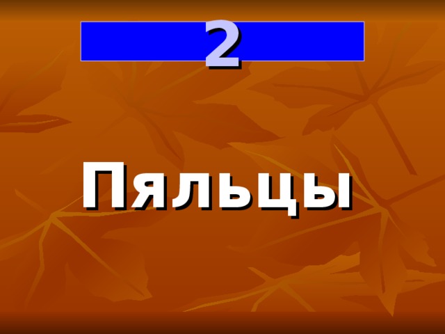 2 Пяльцы