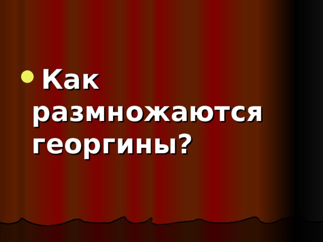 Как размножаются георгины?