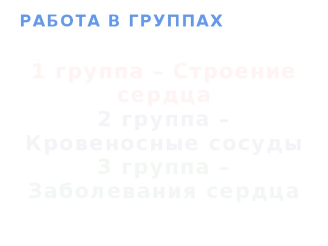 РАБОТА В ГРУППАХ   1 группа – Строение сердца 2 группа – Кровеносные сосуды 3 группа – Заболевания сердца