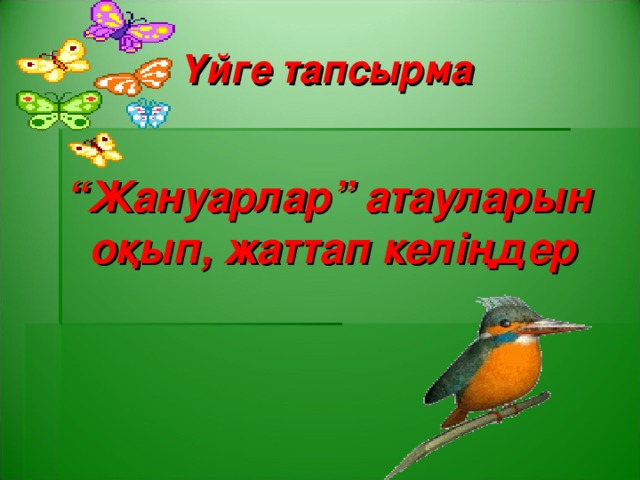 Үйге тапсырма “ Жануарлар” атауларын оқып, жаттап келіңдер