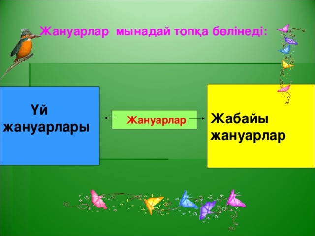 Жануарлар мынадай топқа бөлінеді:  Жабайы жануарлар  Үй жануарлары  Жануарлар