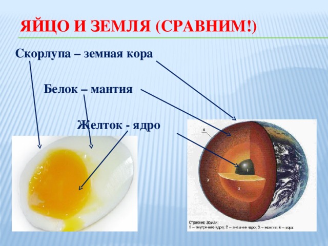 Яйцо и Земля (Сравним!) Скорлупа – земная кора        Белок – мантия         Желток - ядро